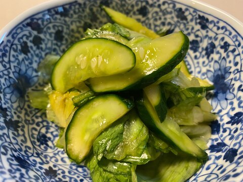 おかずになる！きゅうりとレタスの浅漬け